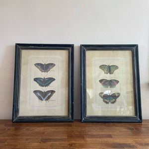 Set of Butterfly Prints Wall Decor